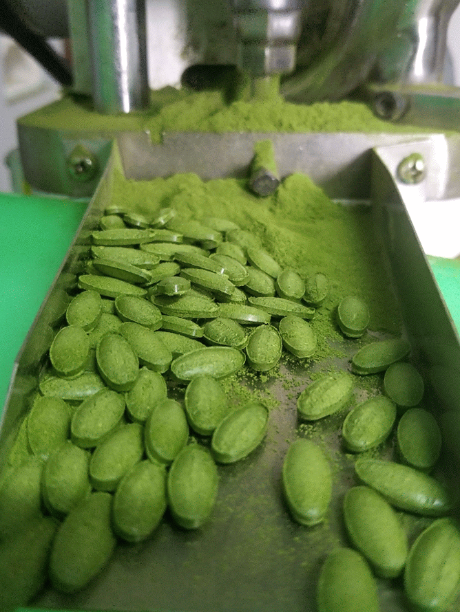 Pure Moringa Tablets — 200 count